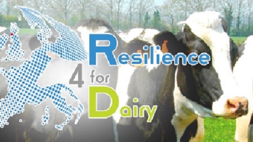 R4D Europees onderzoek voor meer duurzaamheid op melkveebedrijven