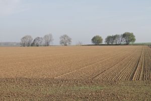 België: Strijd om schaarse landbouwgrond