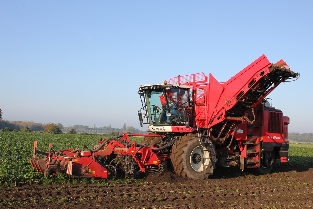 In tegenstelling tot de ouderwetse voederbiet kan Feedbeet zeer goed en vrij van tarra door gangbare bietenrooiers worden gerooid