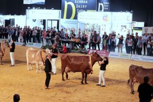 German Dairy Show 2023 gaat in première in Alsfeld