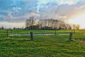 Landbouwers getroffen door stikstofakkoord dreigen in de kou te blijven