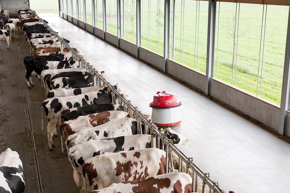 Lely Juno Niet alleen voerschuiver, maar ook booster voor melkproductie