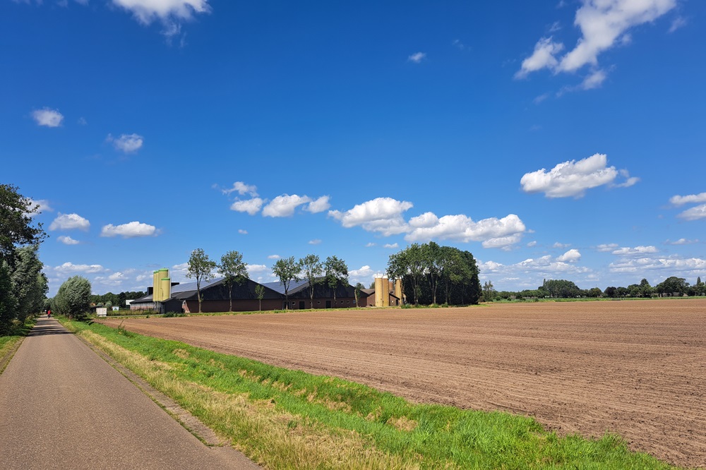 Verminderde stikstofuitstoot Vlaamse landbouw vooral te danken aan daling stalemissies