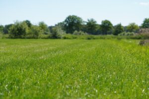 Landbouwers vinden ook dit jaar vlot hun weg naar milieu- en klimaatvriendelijke praktijken