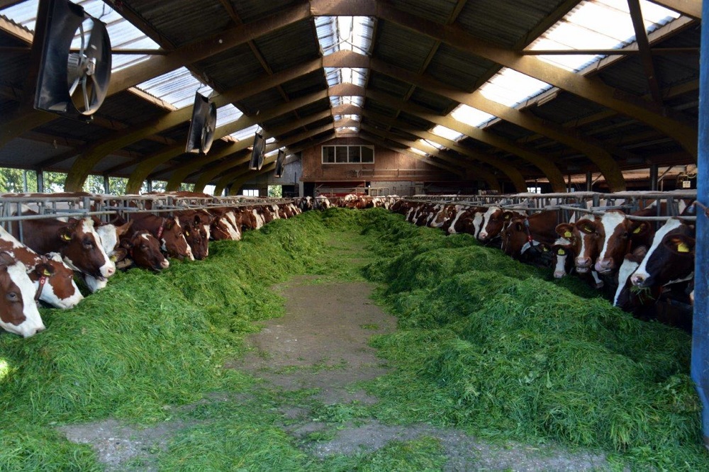 AgroVision en VETWERK verbeteren samenwerking veehouders en dierenartsen