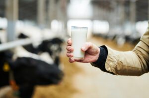 IMA maakt paratuberculosescreening eenvoudiger dan ooit