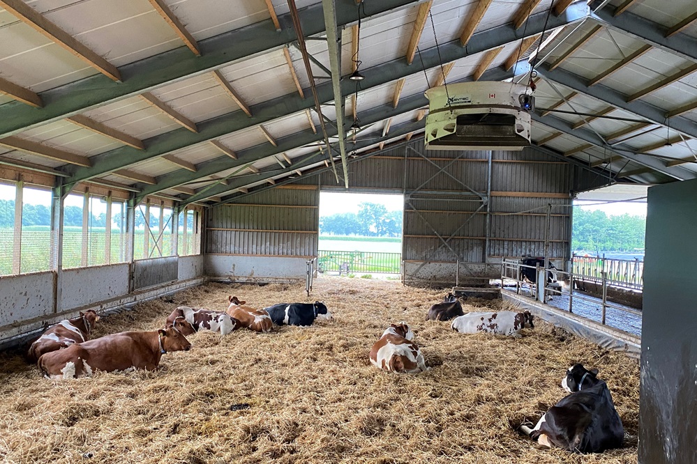 “Afkalven verloopt altijd rustig en zonder problemen”