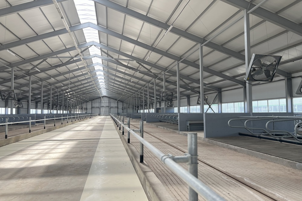 Een kijkje op een gloednieuw melkveebedrijf in Kazachstan