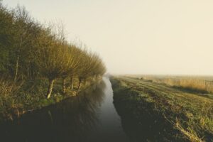 Beschermingsstroken: winst voor bodem, water en natuur