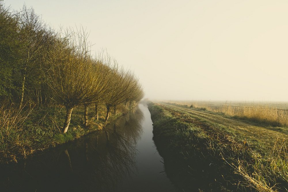 Beschermingsstroken: winst voor bodem, water en natuur