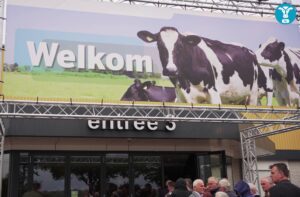 RMV Hardenberg 2025: de nieuwste melkvee-innovaties in beeld
