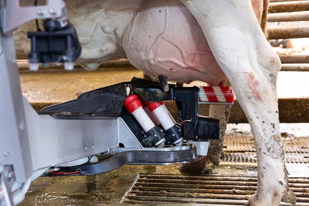 Bimodaliteit uitgelegd: Wat het betekent voor jouw melkveebedrijf