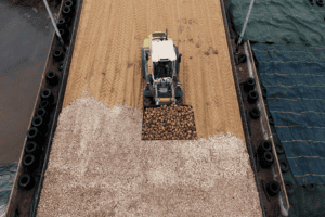 Voederbieten in het rantsoen van hoogproductieve koeien