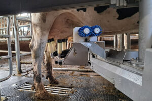 EU schetst gunstige marktvooruitzichten voor melk en zuivelproducten richting 2035