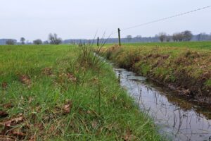 Nitraatgehalte in oppervlaktewater op laagste peil sinds start MAP-meetnet