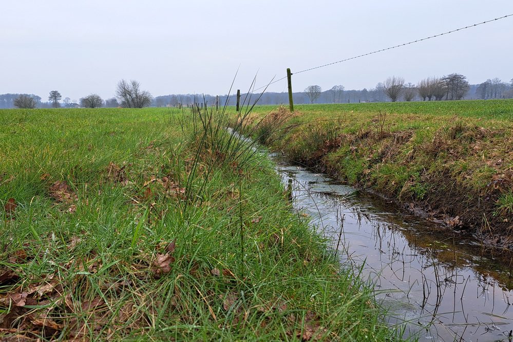 Nitraatgehalte in oppervlaktewater op laagste peil sinds start MAP-meetnet
