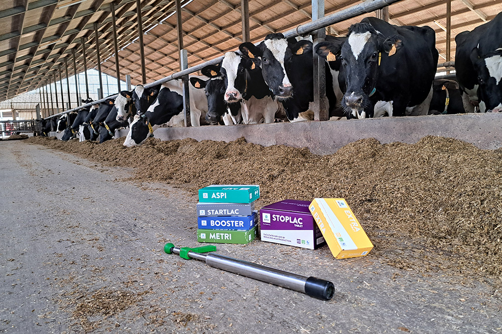 Elanco neemt AHV International over