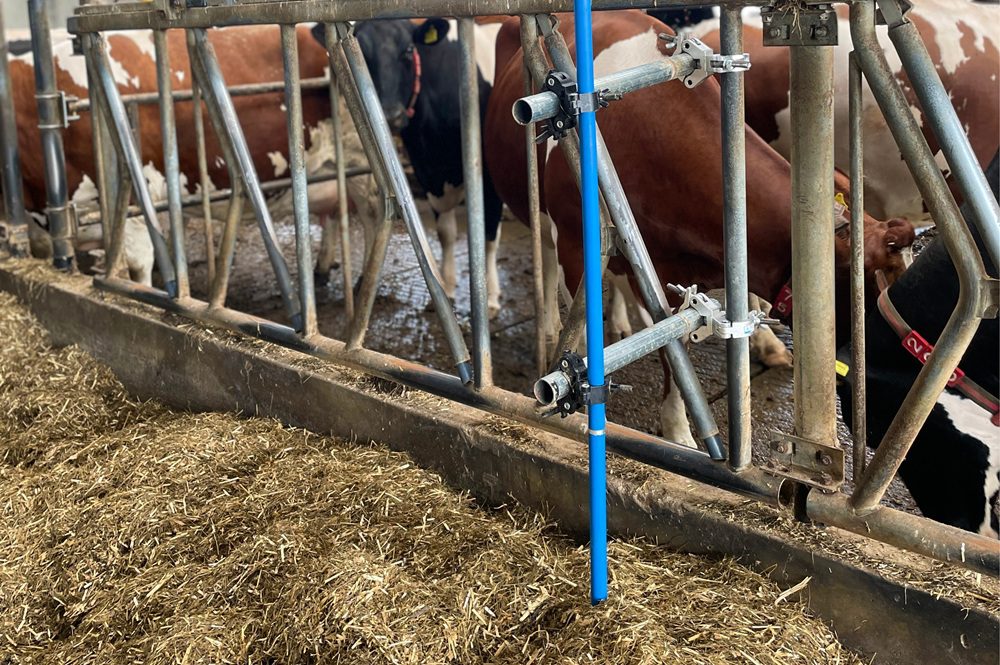 Brandpartner Melkveebedrijf: Fransen Gerrits product dienst Koe Ling