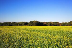 Verzamelaanvraag 2026 schiet uit de startblokken