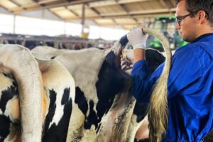 Preventief sturen op transitiemanagement