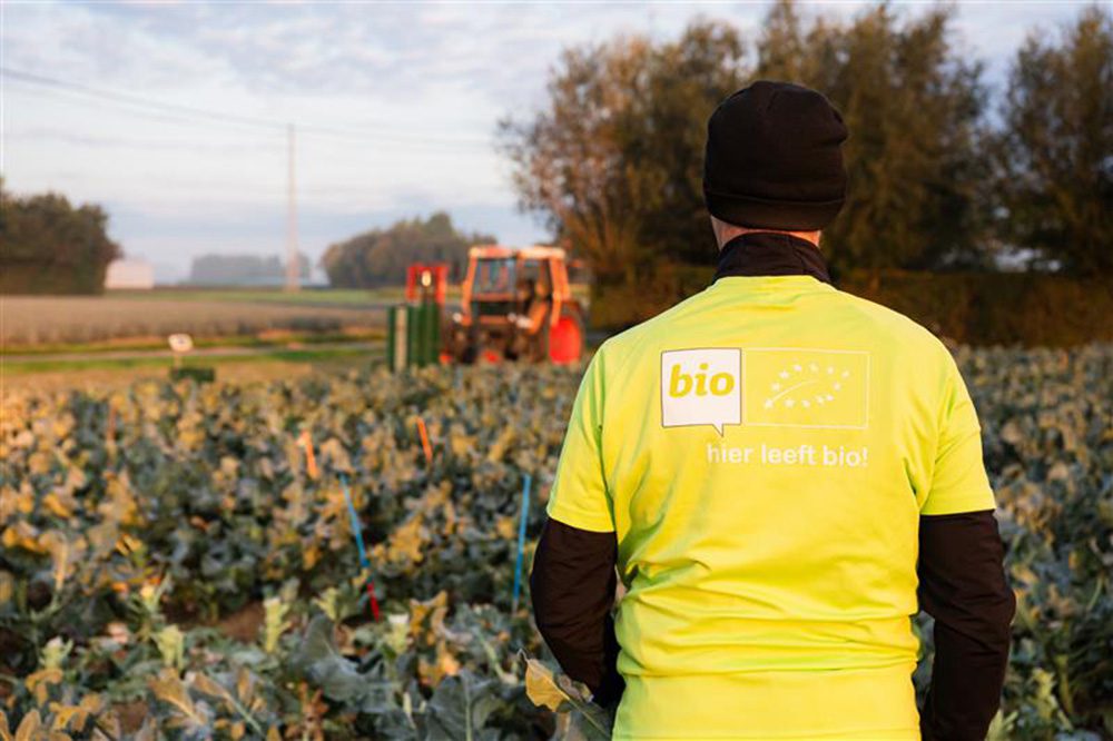 Biologische landbouw hervindt marktevenwicht en kijkt opnieuw vooruit 