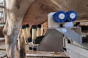 Wijs worden uit robotdata: van losse cijfers naar slimme inzichten