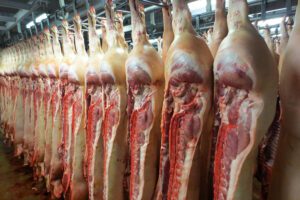 Karkasclassificatie: regels, controle en toegang tot data