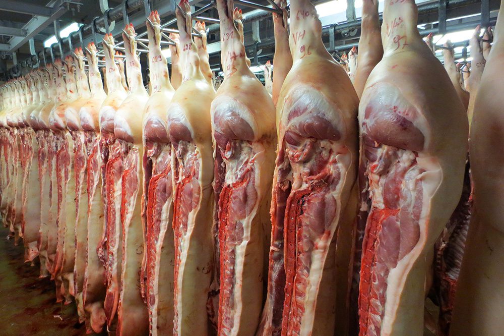 Karkasclassificatie: regels, controle en toegang tot data