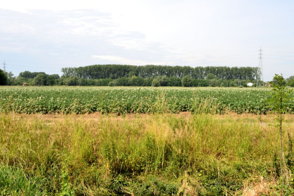 Deadline indiening verzamelaanvraag komt snel dichterbij