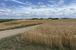 Aanpassingen verzamelaanvraag kunnen tot uiterlijk 31 mei