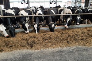 Nieuwe meetrichtlijnen voor stalemissies belangrijk voor toekomstige investeringen