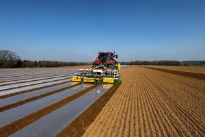 Mais onder folie: groeiseizoen verlengen en opbrengst verhogen