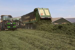 Voorkom mycotoxines in veevoeder: opslag en bewaring zijn cruciaal