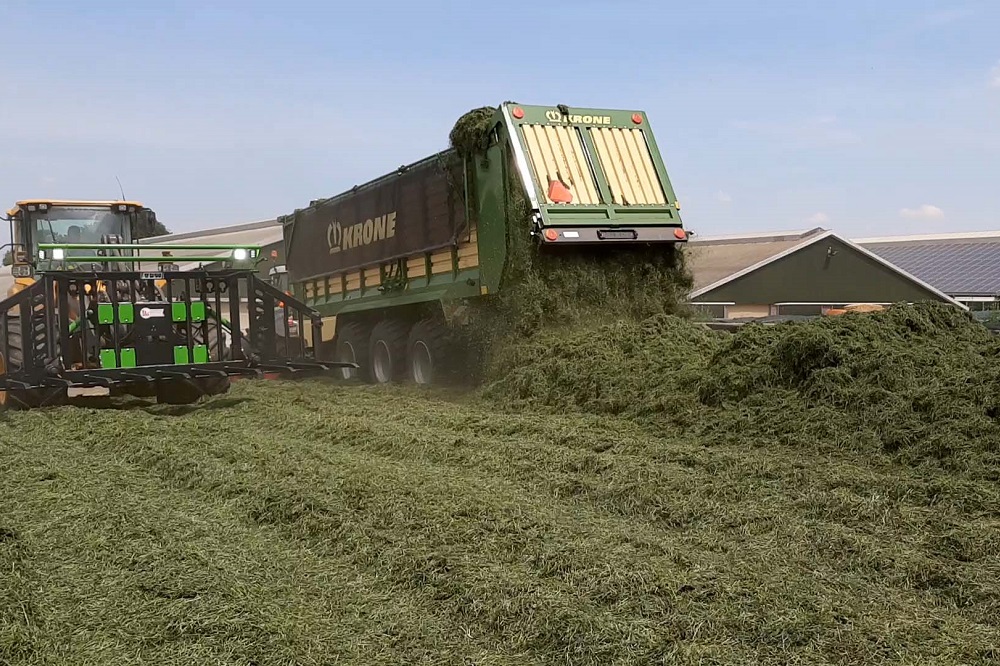 Voorkom mycotoxines in veevoeder: opslag en bewaring zijn cruciaal