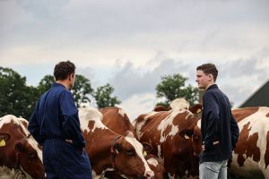 AHV Melkveebedrijf - Hoofdfoto vakpartnerpagina