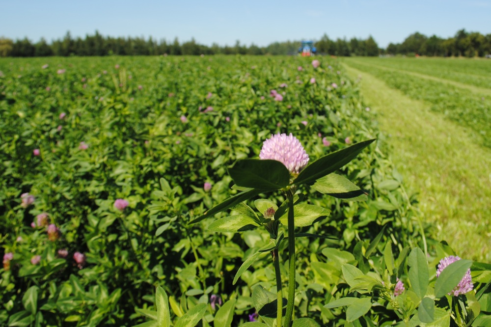 Budgetverhoging voor jonge landbouwers en eco-regelingen
