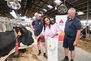 Boerderijbezoeken voor schoolklassen krijgen opnieuw steun in Antwerpen