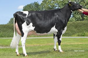 Koepon Parfect Range 113 RF VG-87