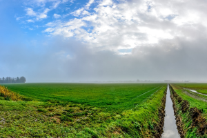 Polder landschap.1000