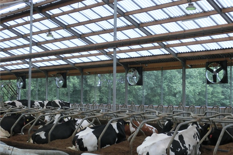 Informatieaanvraag Ventilatoren voor melkveehouderij